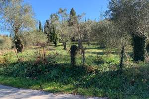 WILD IRIS LAND, Ano Korakiana, Corfu