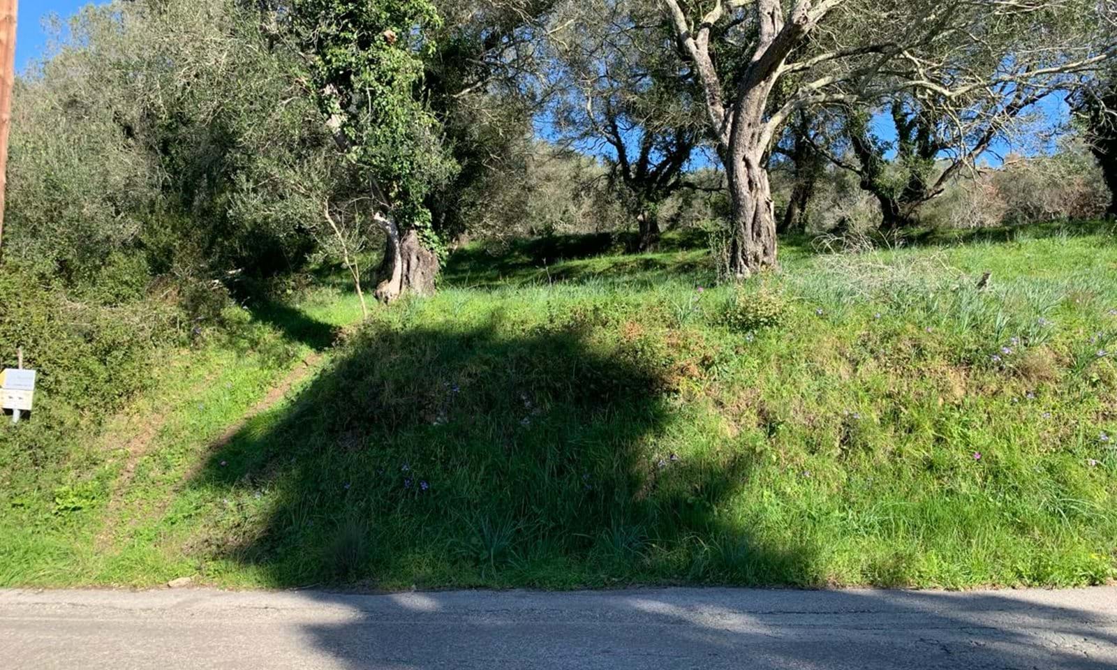 Listing photograph 7 of 7 of the land in Ano Korakiana, published by Corfu Home Finders.