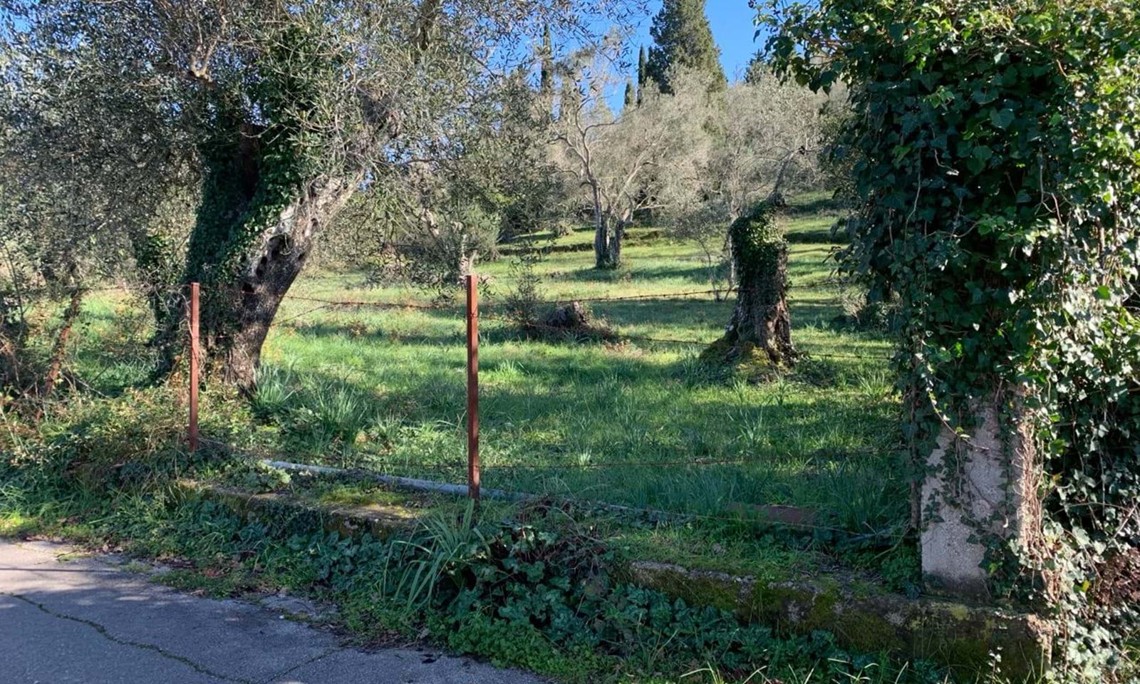 Listing photograph 3 of 7 of the land in Ano Korakiana, published by Corfu Home Finders.