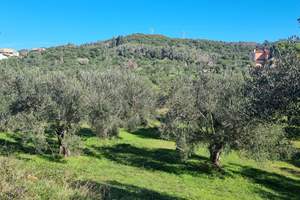 ALEVROPALI LAND, Alevropali, Corfu