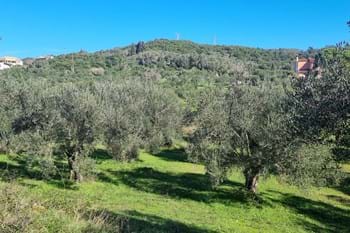 Image for property: 20549