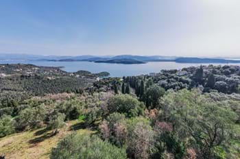 Image for property: 20563