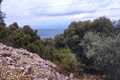 view3