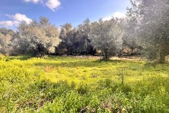 Image for property: 20570