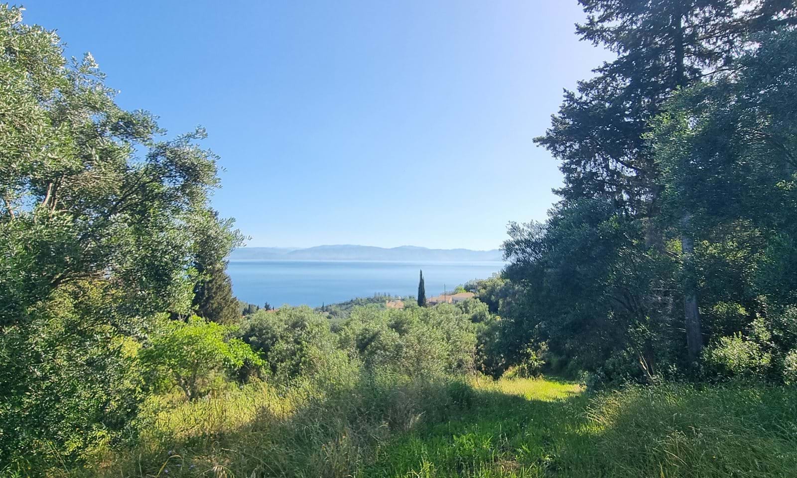 Listing photograph 3 of 5 of the land in Mesongi, published by Corfu Home Finders.