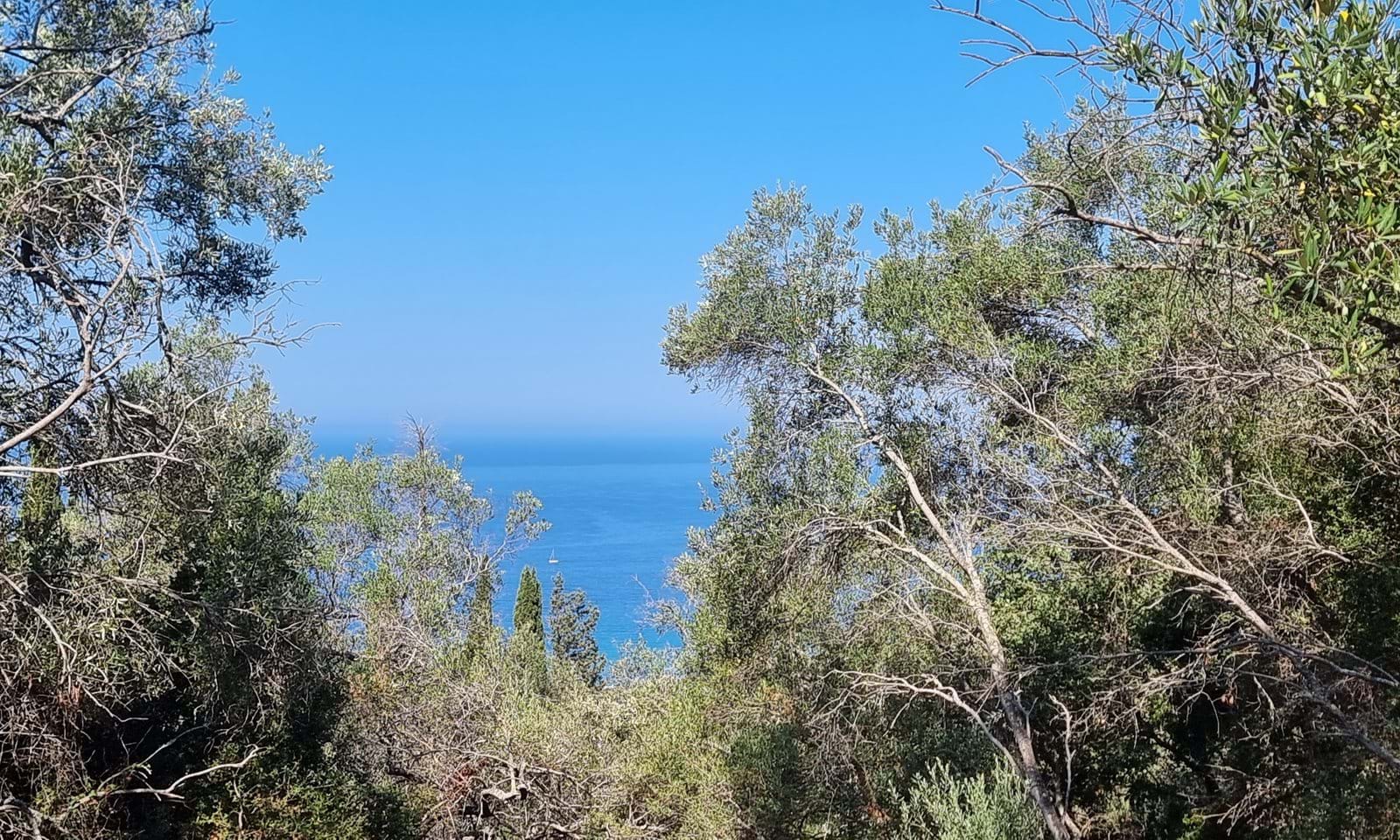 Listing photograph 3 of 3 of the land in Ano Garouna, published by Corfu Home Finders.