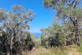 Image for property: 20580