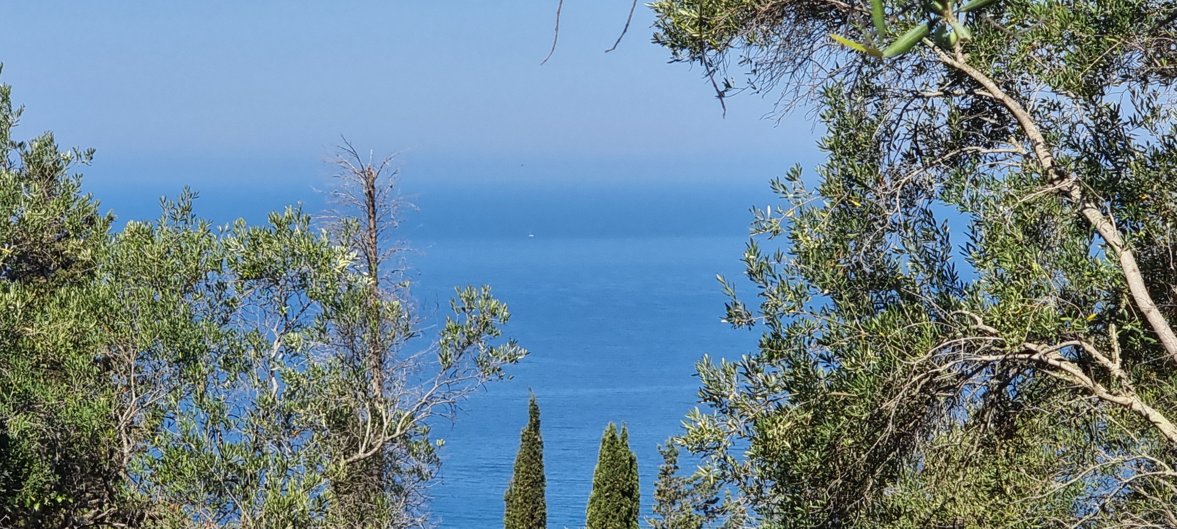 Image for property: 20580