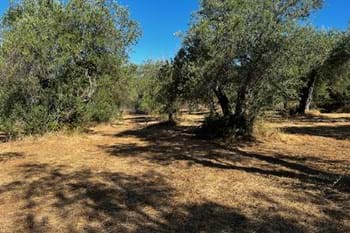 Image for property: 20581