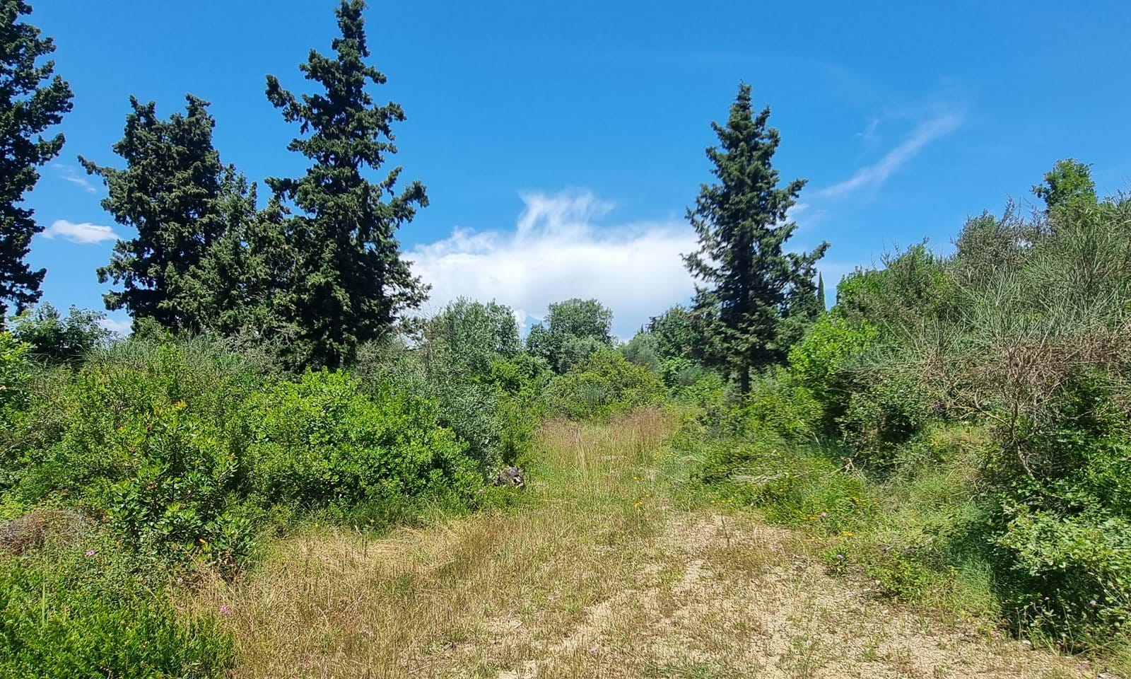 Listing photograph 1 of 3 of the land in Gastouri, published by Corfu Home Finders.