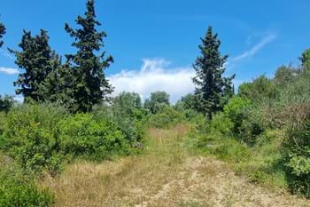 Image for property: 20582