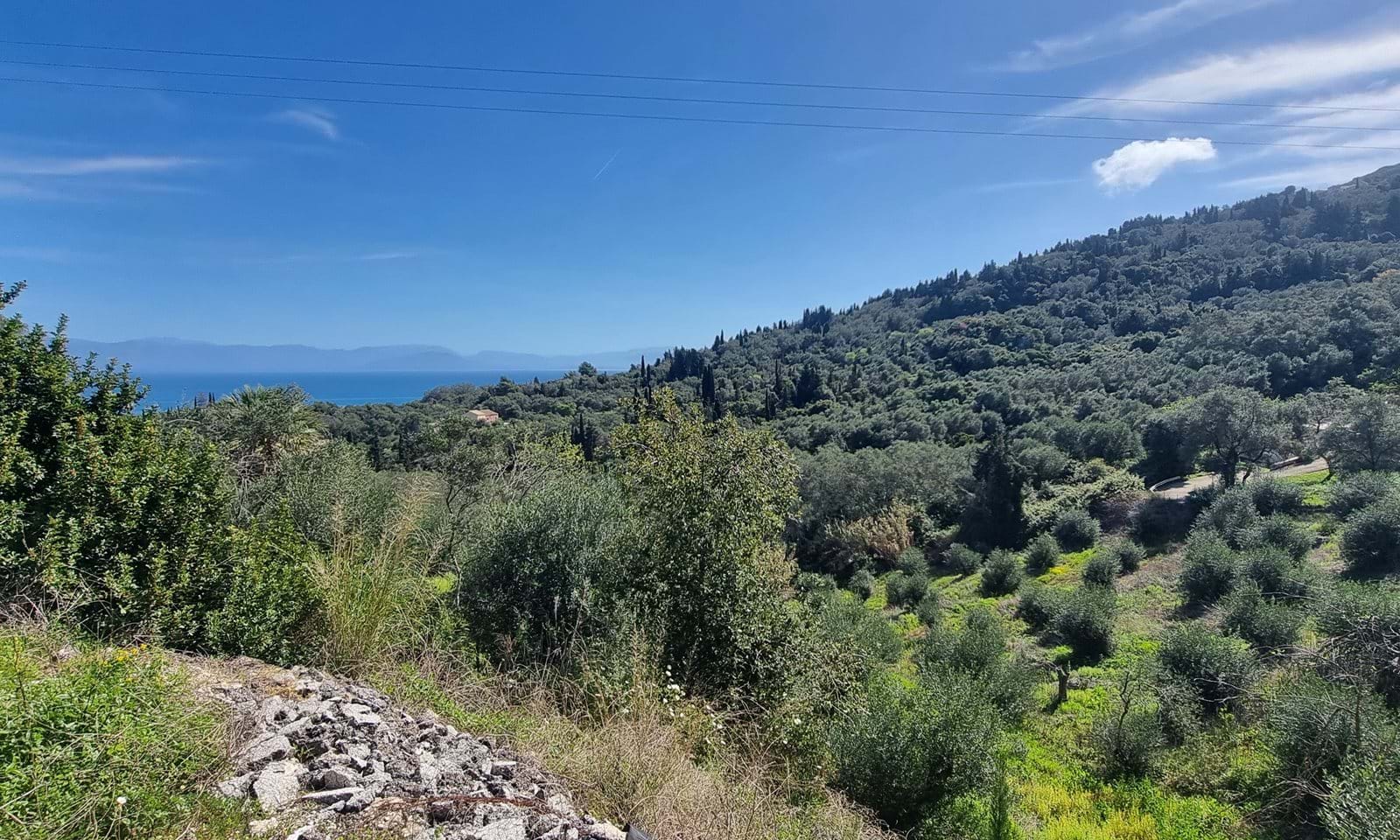 Listing photograph 2 of 2 of the land in Mesongi, published by Corfu Home Finders.