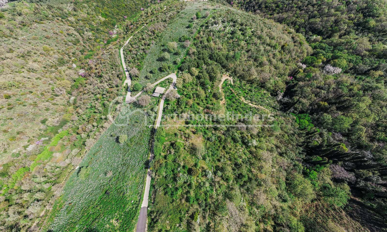 Listing photograph 3 of 5 of the land in Kassiopi, published by Corfu Home Finders.