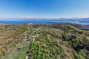 PLAKA LAND, Kassiopi, Corfu
