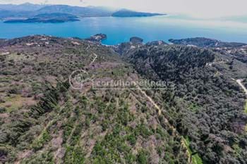 Image for property: 20601