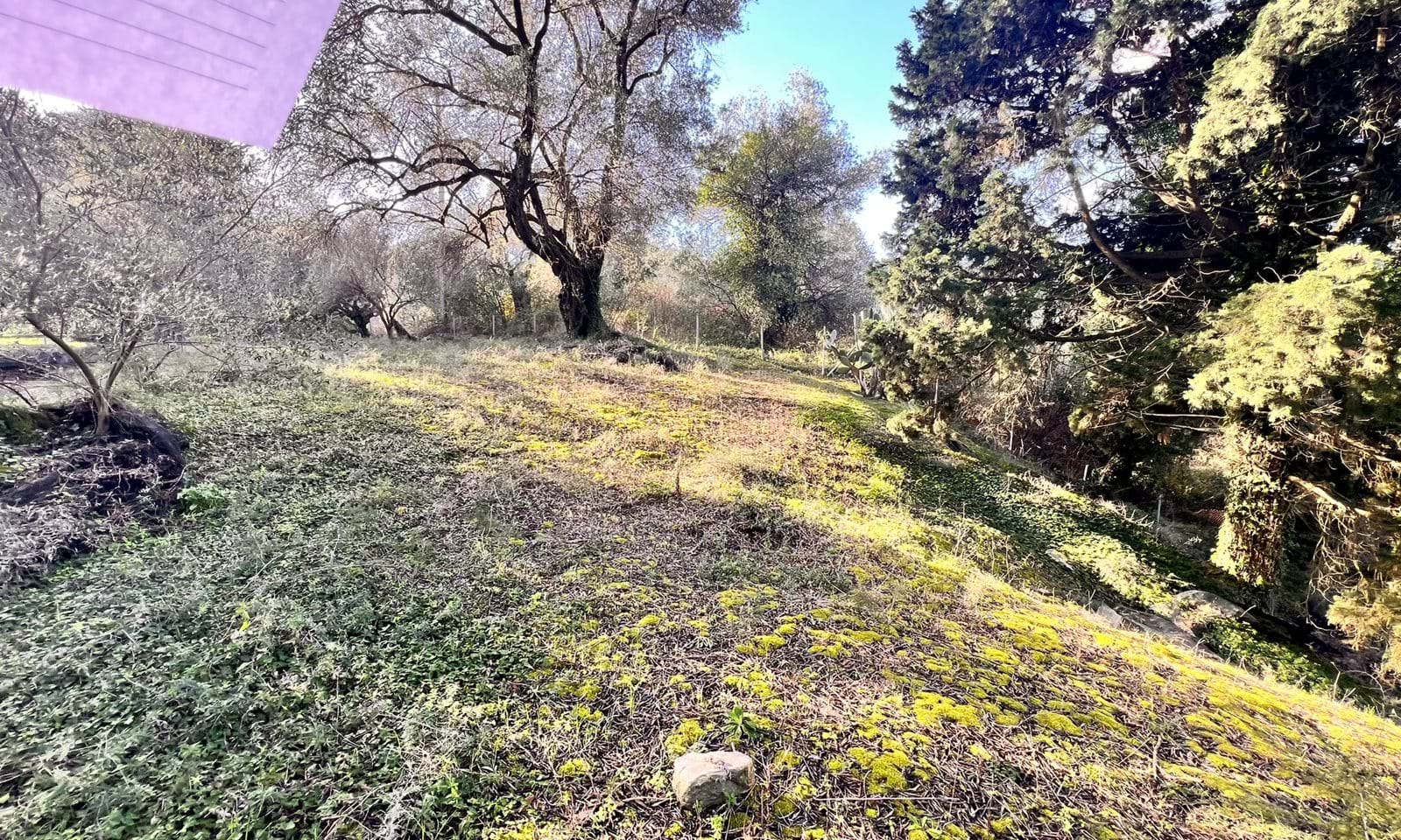 Listing photograph 6 of 6 of the land in Agios Georgios, Northern Corfu, published by Corfu Home Finders.
