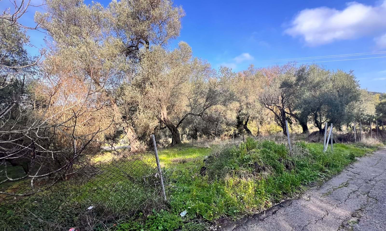 Listing photograph 4 of 6 of the land in Agios Georgios, Northern Corfu, published by Corfu Home Finders.