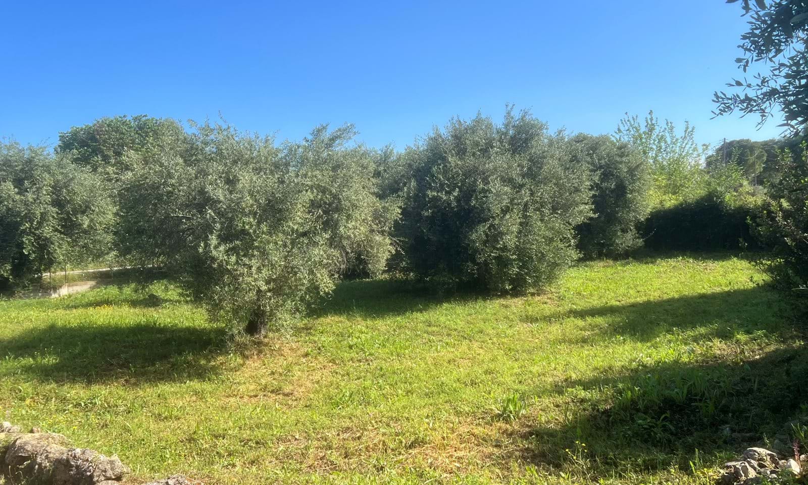 Listing photograph 16 of 16 of the house in Roda, published by Corfu Home Finders.