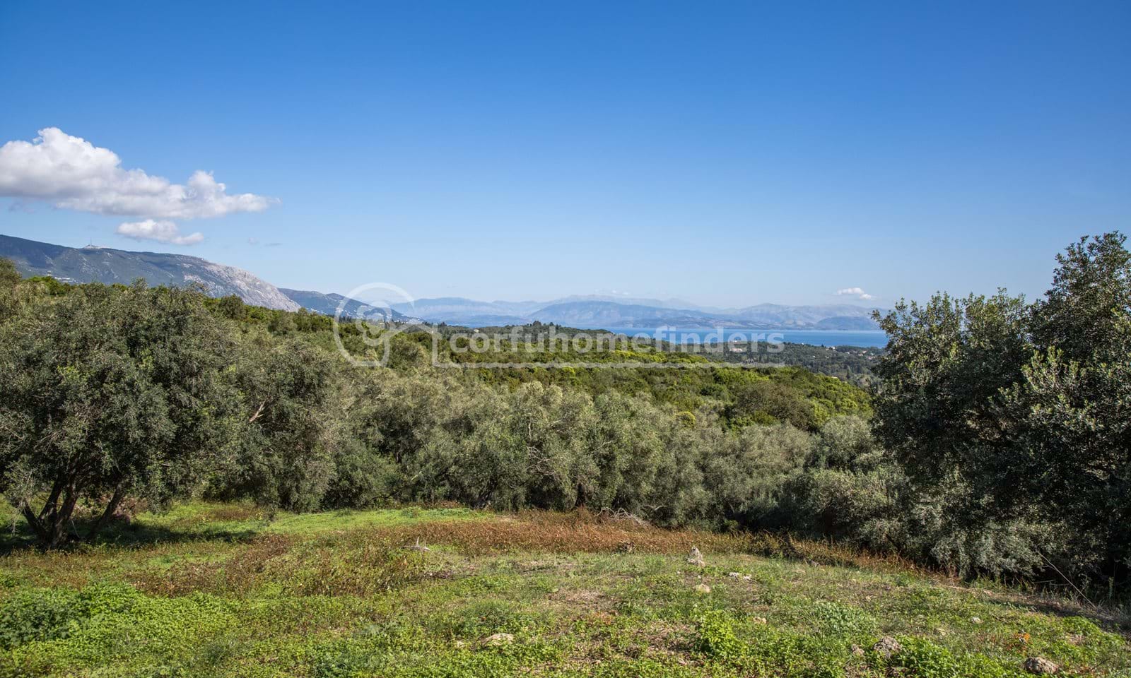 Listing photograph 3 of 8 of the land in Poulades, published by Corfu Home Finders.