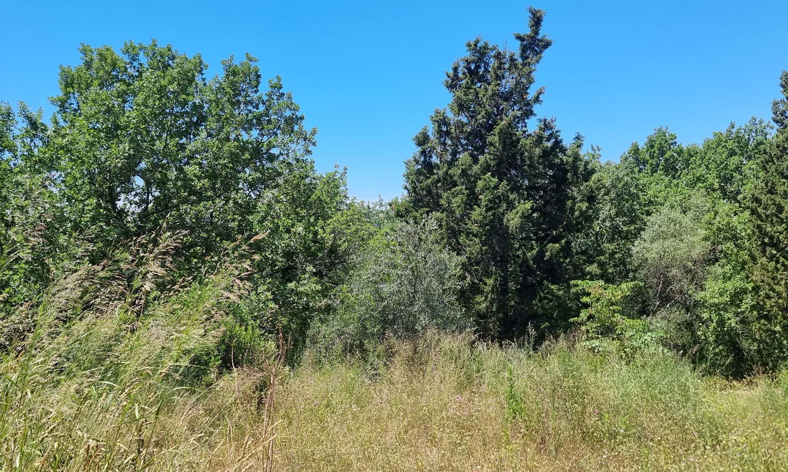 Listing photograph 4 of 6 of the land in Gastouri, published by Corfu Home Finders.