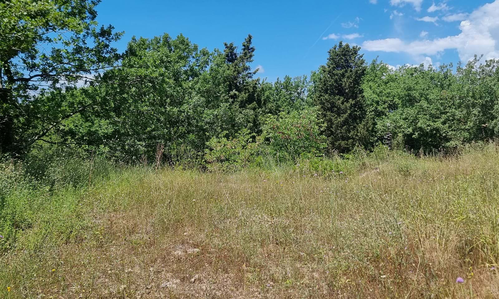 Listing photograph 3 of 6 of the land in Gastouri, published by Corfu Home Finders.