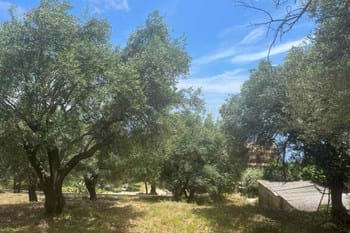 Image for property: 20641