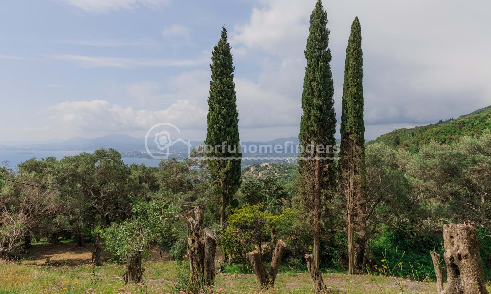Listing photograph 4 of 7 of the land in Spartilas, published by Corfu Home Finders.
