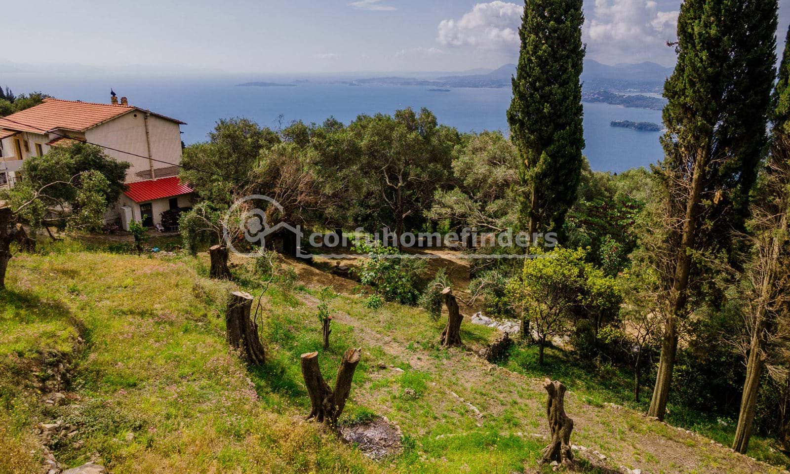 Listing photograph 3 of 7 of the land in Spartilas, published by Corfu Home Finders.