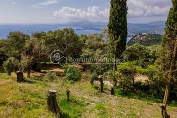 Image for property: 20645