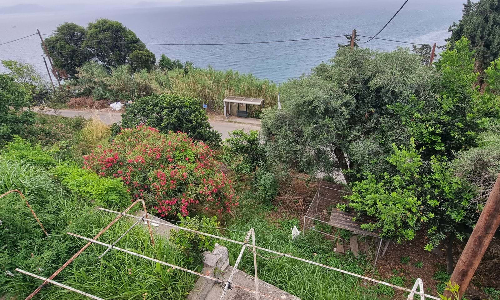 Listing photograph 8 of 14 of the house in Perama, published by Corfu Home Finders.