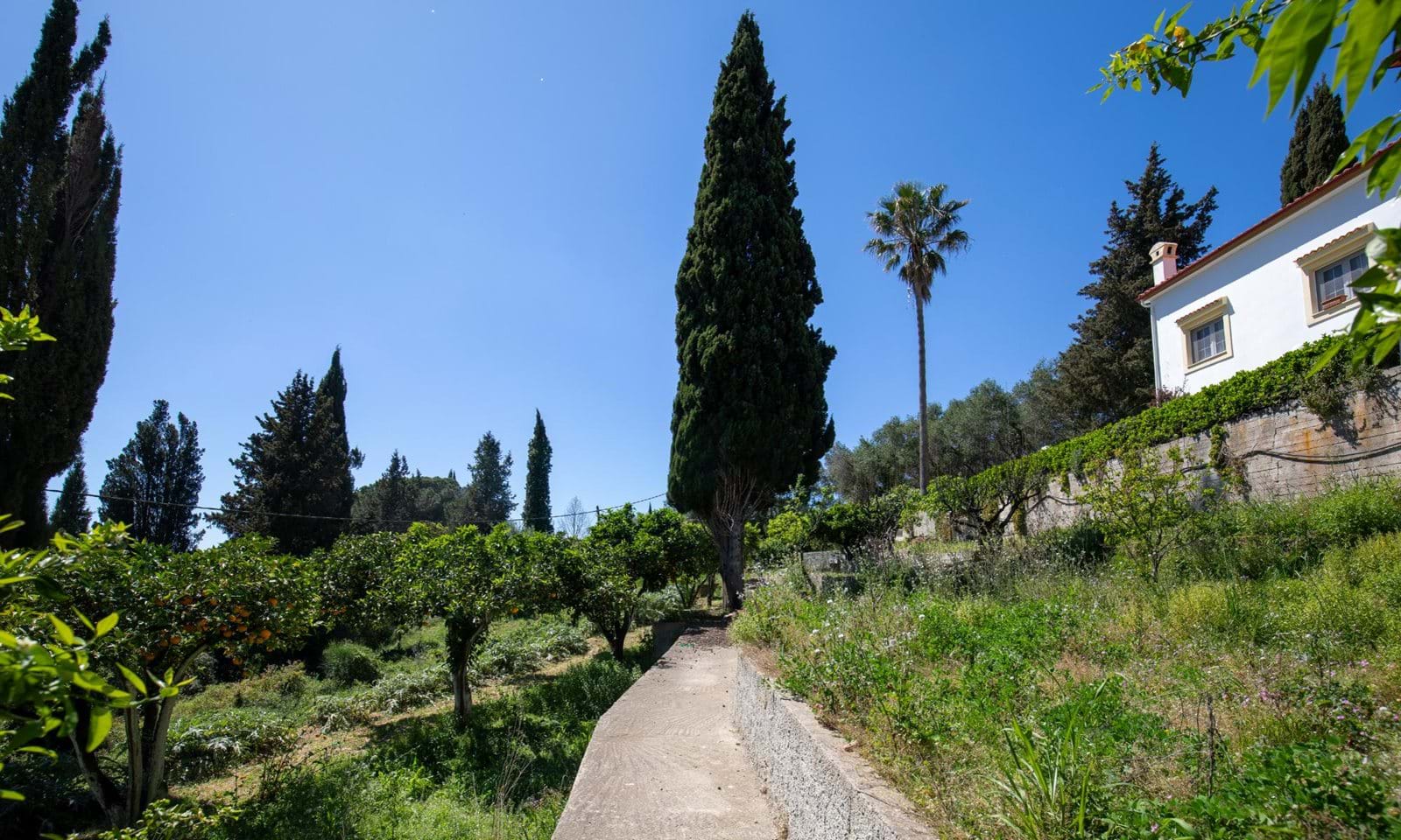 Listing photograph 22 of 24 of the house in Corfu Town, published by Corfu Home Finders.