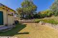 Back garden