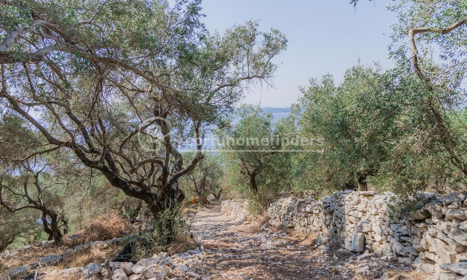 Listing photograph 4 of 5 of the land in Katavolos, published by Corfu Home Finders.