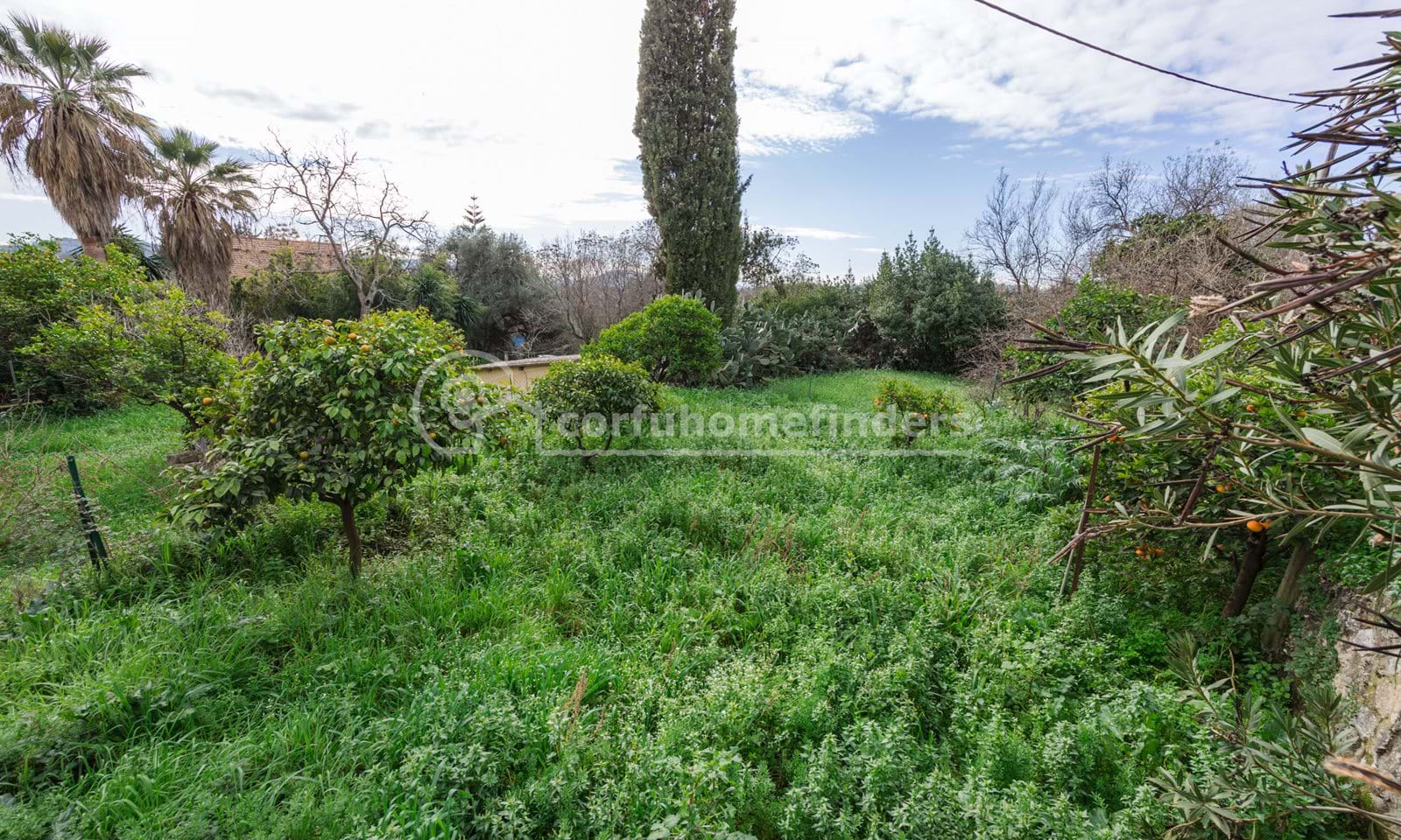 Listing photograph 7 of 7 of the house in Ano Korakiana, published by Corfu Home Finders.