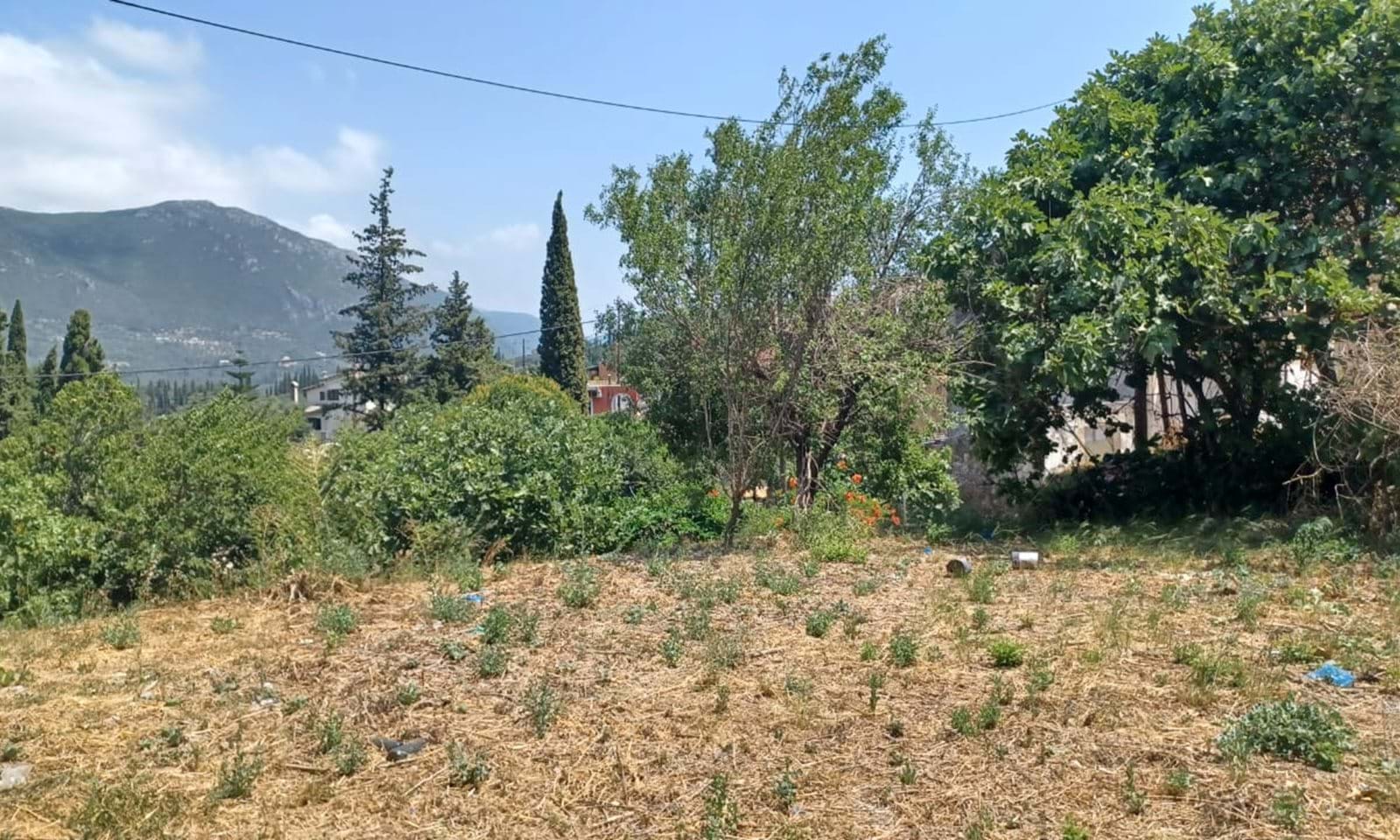 Listing photograph 3 of 4 of the land in Doukades, published by Corfu Home Finders.