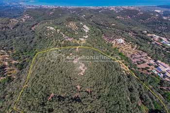 Image for property: 20737