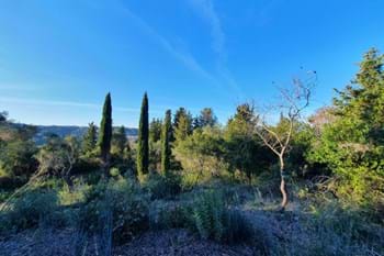 Image for property: 20742