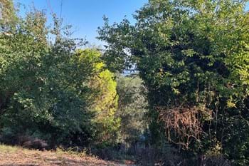 Image for property: 20744