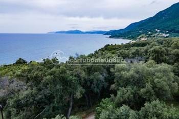 Image for property: 20771