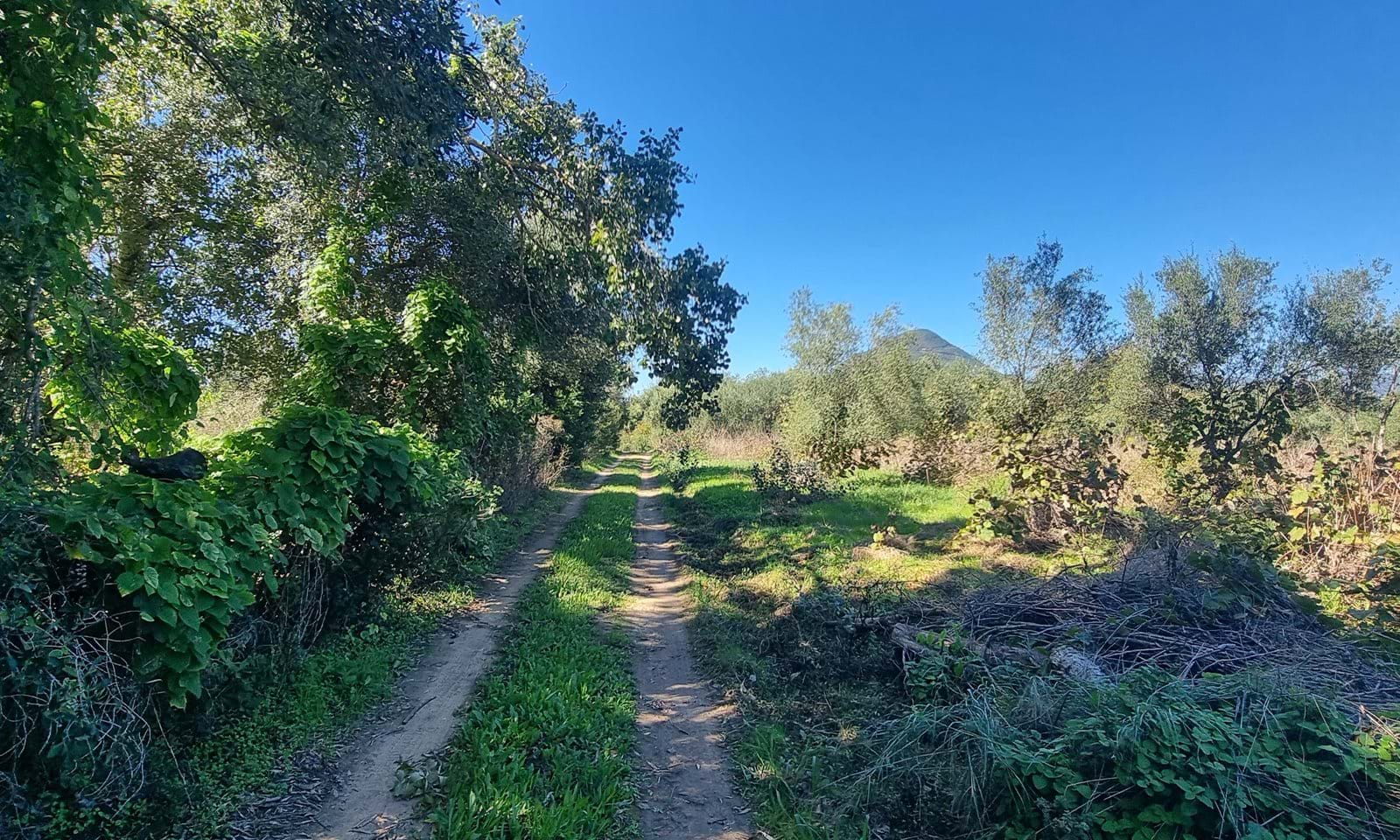 Listing photograph 4 of 4 of the land in Mesongi, published by Corfu Home Finders.