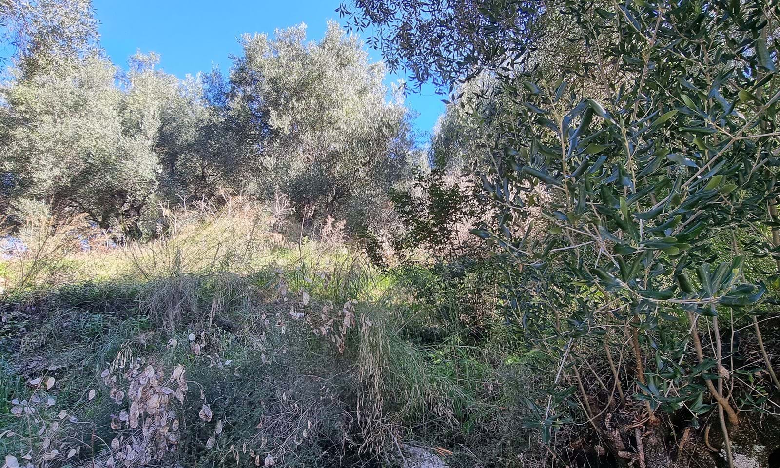 Listing photograph 11 of 11 of the house in Agios Mattheos, published by Corfu Home Finders.
