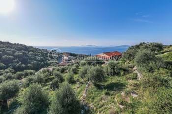 Image for property: 20781