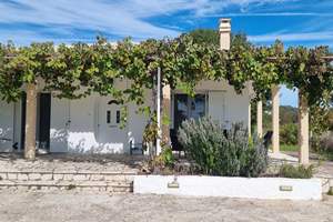 GRAPE HOUSE, Agios Georgios (S), Corfu