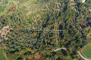 ANTHI'S LAND, Kavalouri, Corfu