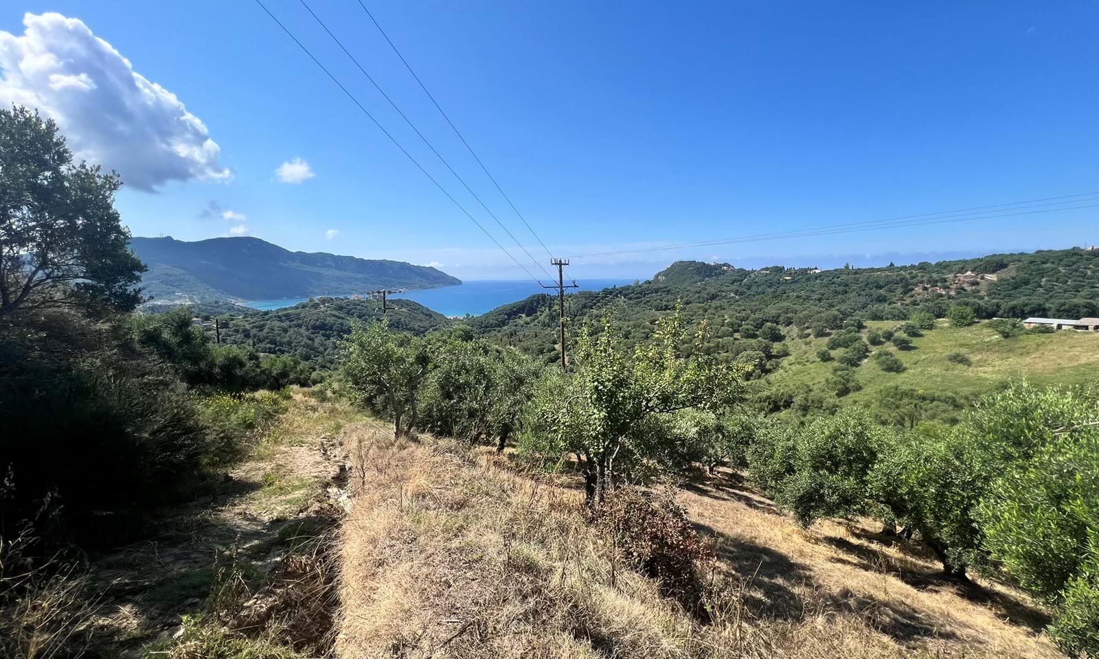 Listing photograph 4 of 4 of the land in Afionas, published by Corfu Home Finders.
