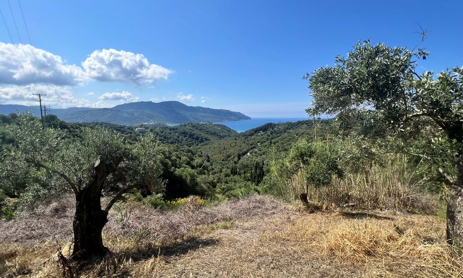 Listing photograph 2 of 4 of the land in Afionas, published by Corfu Home Finders.