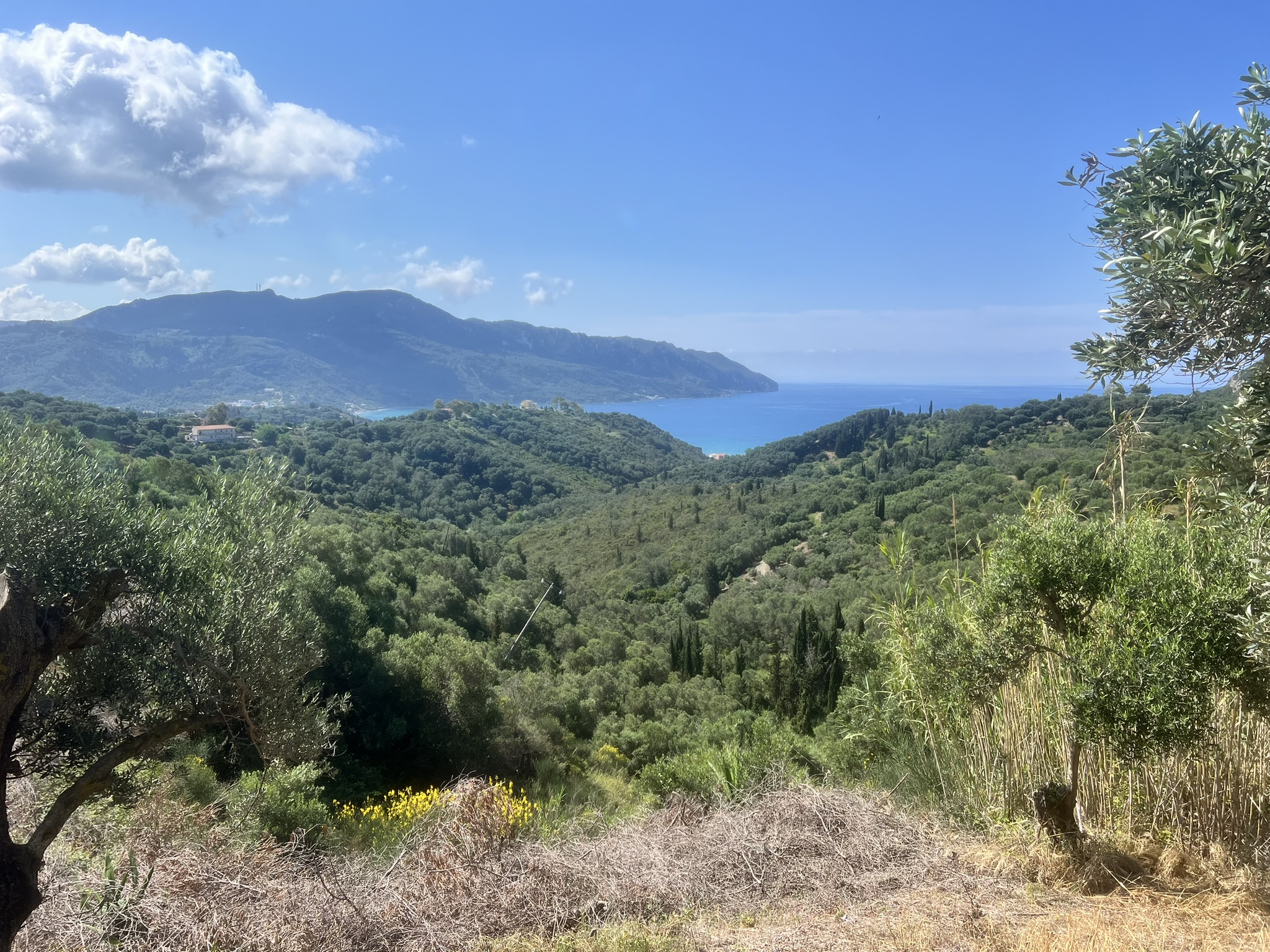 Image for property: 20804