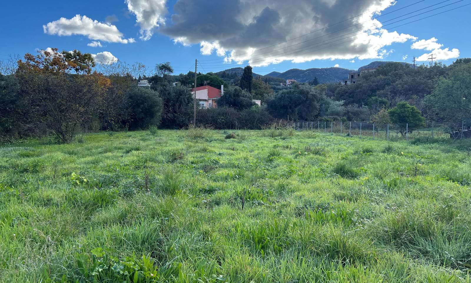 Listing photograph 2 of 5 of the land in Acharavi, published by Corfu Home Finders.