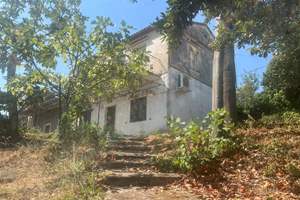 IVY STAIRS, Sinies, Corfu