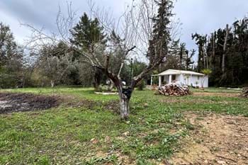 Image for property: 20820